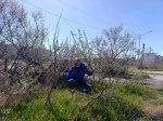 Трудовой отряд в деле!