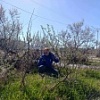 Трудовой отряд в деле!