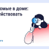 Насекомые в доме: как действовать Насекомые в доме: как действовать