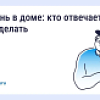 Плесень в доме: кто отвечает и что делать
